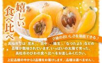 びわの食べ比べセット 約2kg【2025-5月上旬～2025-6月中旬配送】