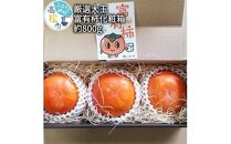 厳選大玉 富有柿 化粧箱 約800g【2024-10月下旬～2024-12月中旬配送】