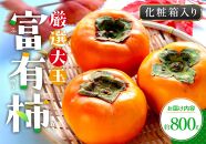 厳選大玉 富有柿 化粧箱 約800g【2024-10月下旬～2024-12月中旬配送】