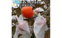 厳選大玉 完熟 富有柿 化粧箱 約800g【2024-10月下旬～2024-12月中旬配送】