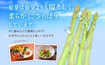 さぬきのめざめ 夏芽 約700g アスパラガス【2024-6月上旬～2024-11月上旬配送】