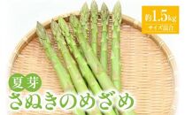 さぬきのめざめ 夏芽 ( サイズ 混合 ) 約1.5kg アスパラガス【2024-5月上旬～2024-11月上旬配送】