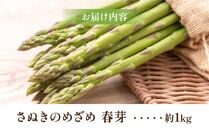 柔らかさと甘みが際立つ さぬきのめざめ春芽 約1kg【2025-3月上旬～2025-4月下旬配送】