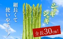 シャキシャキ食感 さぬきのめざめ セミロング 30cm ( Lサイズ 以上 ) 約1.5kg【2024-7月上旬～2024-10月中旬配送】