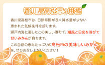 とっても貴重　ハウス小原紅早生みかん　約1kg【2026年6月中旬～2026年8月上旬配送】