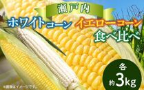 瀬戸内ホワイトコーン・イエローコーン食べ比べ 各約3kg【2024-6月中旬～2024-7月中旬配送】