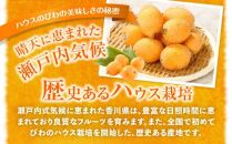 ハウスびわ化粧箱 約500g【2025-3月中旬～2025-5月上旬配送】