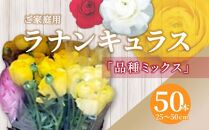 ご家庭用 ラナンキュラス品種ミックス 50本(長さ25～50cm)【2025-1月中旬～2025-3月下旬配送】