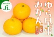 小粒サイズ ゆら早生 みかん 約6kg 【2024-9月下旬～2024-11月上旬配送】