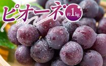 ピオーネ 約 1kg ぶどう 【2025-7月中旬～2025-9月下旬配送】