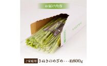 ご家庭用 さぬきのめざめ 約800g アスパラガス【2024-4月上旬～2024-11月上旬配送】