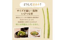 訳あり 柔らかさと甘みが際立つ さぬきのめざめ春芽 約1kg【2025-1月下旬～2025-2月下旬配送】