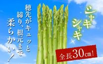 柔らかさ抜群! さぬきのめざめセミロング30cm(Lサイズ以上) 約1kg【2025-3月上旬～2025-3月下旬配送】