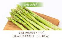 柔らかさ抜群! さぬきのめざめセミロング30cm(Lサイズ以上) 約1kg【2025-3月上旬～2025-3月下旬配送】