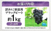 訳あり ご家庭用 ブラックビート 約1kg【2025-8月中旬～2025-9月下旬配送】