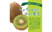 さぬきキウイっこ　約1kg【2024-10月下旬～2024-12月下旬配送】