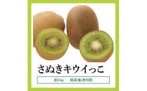 さぬきキウイっこ　約1kg【2024-10月下旬～2024-12月下旬配送】