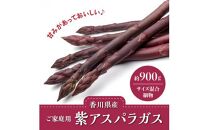 貴重で甘みが強い ! ご家庭用 紫 アスパラガス (細物・サイズ混合) 約900g【2024-6月上旬～2024-10月中旬配送】