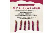 貴重で甘みが強い ! ご家庭用 紫 アスパラガス (細物・サイズ混合) 約900g【2024-6月上旬～2024-10月中旬配送】