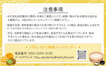 寄附額改定／【訳あり&nbsp;】みかん&nbsp;西南のひかり　ご家庭用　約3kg【2024-12月上旬～2025-1月上旬配送】
