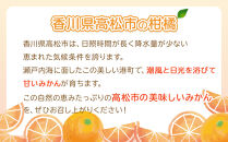 小原紅早生みかん・普通みかん　食べ比べ　約10kg【2026年11月中旬～2027年1月中旬配送】