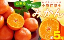 高糖度　プレミアム小原紅早生みかん　約5kg【2024-11月中旬～2025-1月中旬配送】