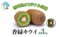 香緑キウイ　約3kg【2024-11月下旬～2025-3月下旬配送】