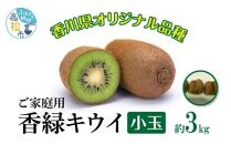 訳あり ご家庭用 香緑キウイ(小玉) 約3kg【2024-11月下旬～2025-3月下旬配送】