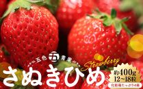 さぬきひめいちご化粧箱たっぷり約400g(12～18粒) 4箱【2025-2月上旬～2025-4月中旬】