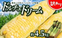 訳あり ご家庭用ドルチェドリーム 約4.5kg【2024-6月上旬～2024-7月上旬配送】