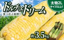 食べ応え抜群 太物2Lサイズ以上!ドルチェドリーム 約3.5kg【2024-6月上旬～2024-7月上旬配送】