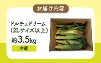 食べ応え抜群 太物2Lサイズ以上!ドルチェドリーム 約3.5kg【2024-6月上旬～2024-7月上旬配送】