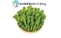 旬の野菜 菜の花バラ 約1kg【2024-12月上旬～2025-3月下旬配送】