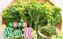 旬の野菜 菜の花バラ 約1kg【2024-12月上旬～2025-3月下旬配送】