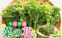 旬の野菜 菜の花 (袋入り) 約2kg【2024-12月上旬～2025-3月下旬配送】