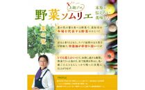 旬の野菜 菜の花 (パック入り) 約600g【2024-12月上旬～2025-3月下旬配送】