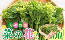 旬の野菜 菜の花 (パック入り) 約600g【2024-12月上旬～2025-3月下旬配送】