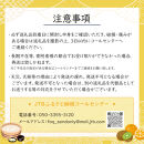 完熟&nbsp;はるみ&nbsp;約2.5kg【2026-2月下旬～2026-3月下旬配送】