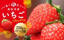 高松市産いちご食べ比べセット　約250g×4パック入り×2箱【2025-1月中旬～2025-5月中旬】