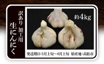 加工用 訳あり 生にんにく 約4kg【2025-5月上旬～2025-6月上旬配送】