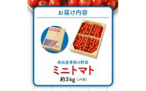 ミニトマト(バラ) 約3kg【2024-11月上旬～2025-6月中旬配送】