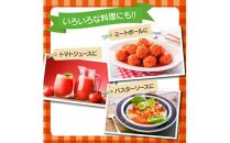 フルーツトマト　約1kg【2024-11月上旬～2025-6月上旬配送】