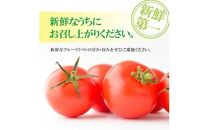フルーツトマト　約1kg【2024-11月上旬～2025-6月上旬配送】