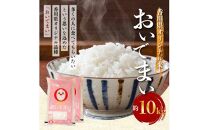 香川県オリジナル米「おいでまい」　約10kg