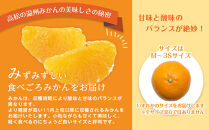 【先行予約】瀬戸内温州みかん　M～3Sサイズ　約2.5kg【2026年10月上旬～2027年1月下旬配送予定】