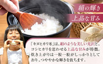 和歌山県産&nbsp;米&nbsp;キヌヒカリ&nbsp;10kg&nbsp;&nbsp;(2025年産)［SL28］