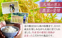 和歌山県産&nbsp;米&nbsp;キヌヒカリ&nbsp;10kg&nbsp;&nbsp;(2025年産)［SL28］