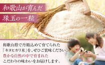 和歌山県産&nbsp;米&nbsp;キヌヒカリ&nbsp;10kg&nbsp;&nbsp;(2025年産)［SL28］