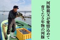 奇跡の５年魚【５年もの】とら河豚てっさ110g・てっちり切り身250gセット(ざく80g付）