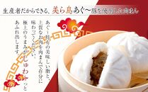 美ら島あぐ～豚の肉まん　120ｇ×3個（8パック）